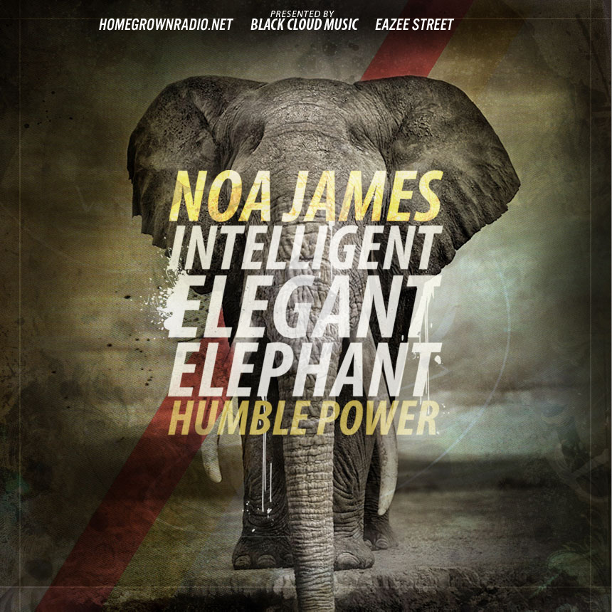 EP: Noa James – Intelligent, Elegant, Elephant: Humble Power