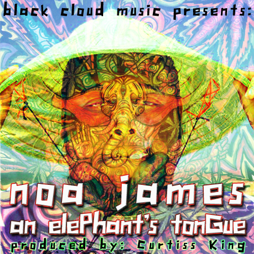 Noa James – An Elephant’s Tongue (Audio)