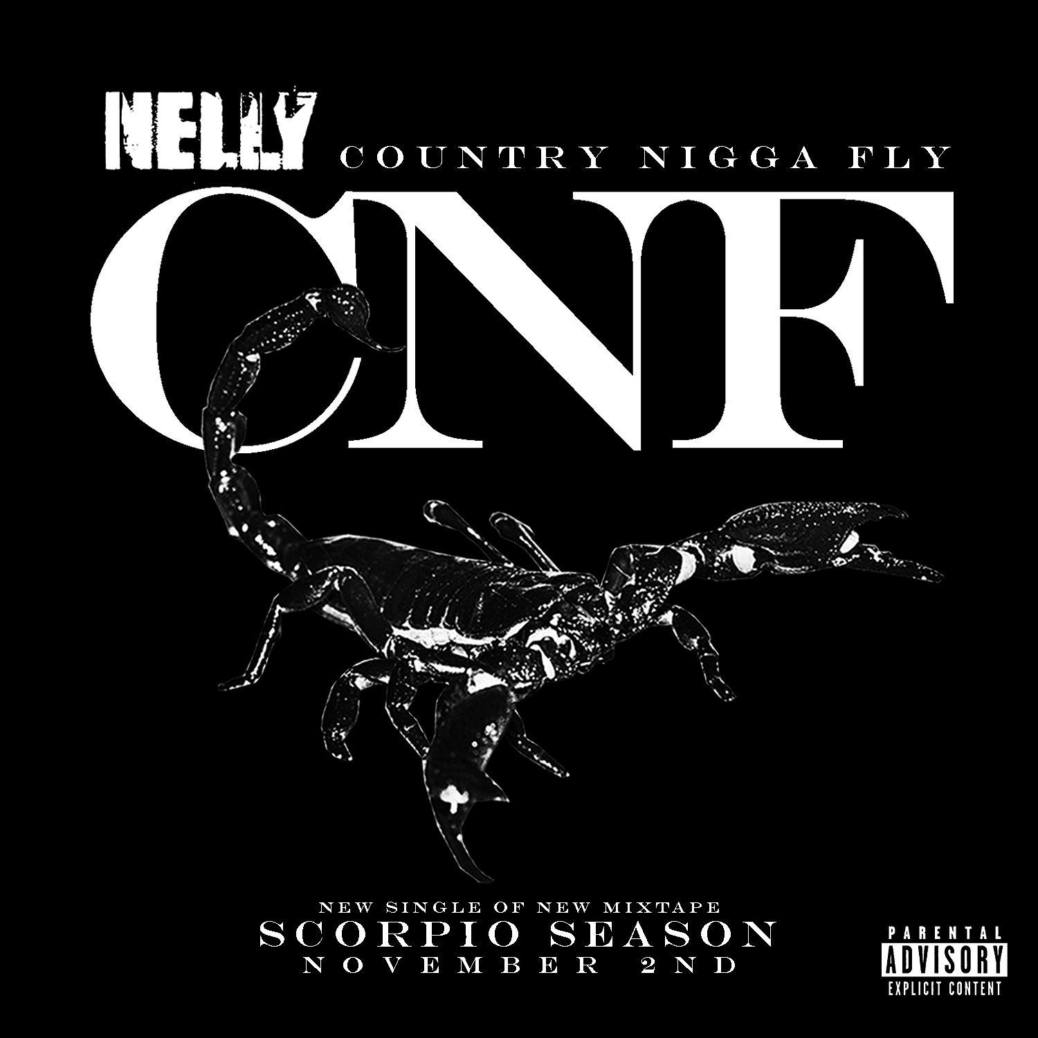 Nelly – Country Ni**a Fly (Audio)