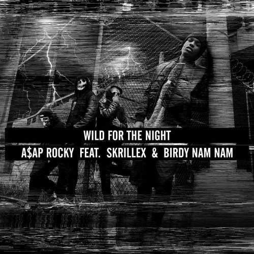 A$AP Rocky ft. Skrillex & Birdy Nam Nam – Wild For The Night (Audio)
