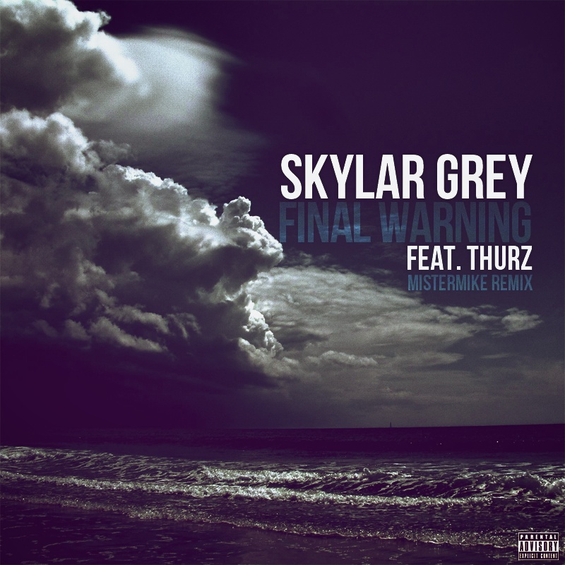 Skylar Grey ft. THURZ – Final Warning (Remix) (Audio)
