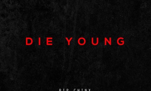 Chris-Brown-Nas-Die-Young-Cover