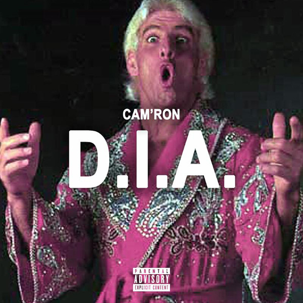 New Music: Cam’Ron – “D.I.A.” [LISTEN]