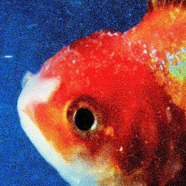 New Album: Vince Staples – ‘Big Fish Theory’ [STREAM]