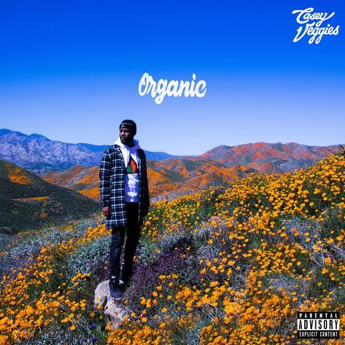 Casey Veggies Drops New Album ‘Organic’ [STREAM]