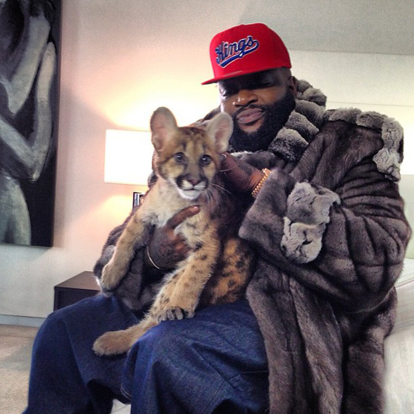 Rick Ross – Bound 2 (Freestyle) (Audio)