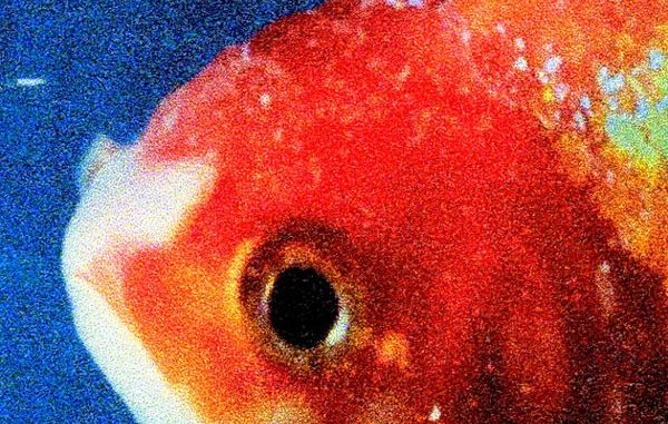 vince-staples-big-fish-theory